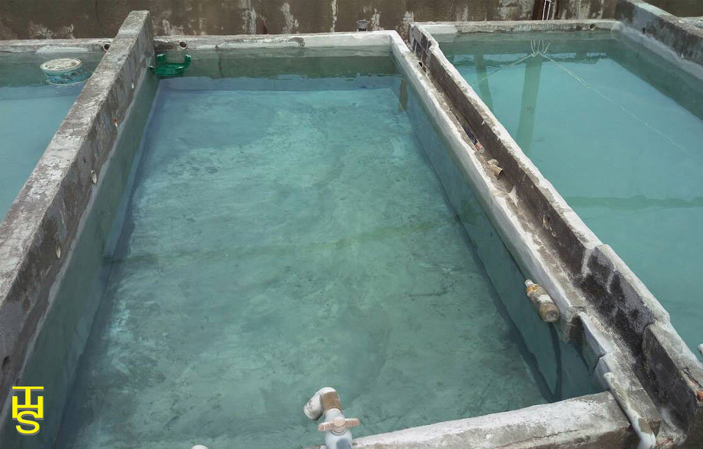 THS無機防水系統無機水泥_室內外養殖魚池、水箱